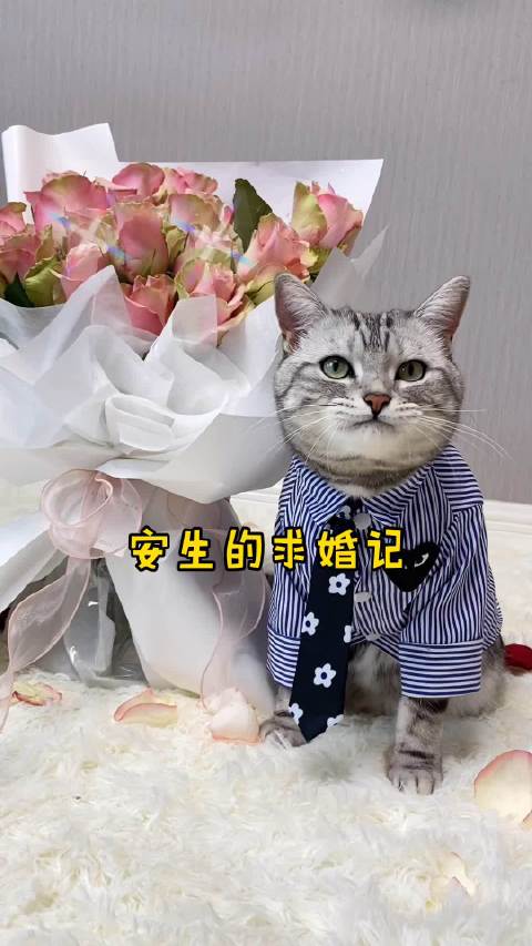 泡芙️安生官宣啦! 在大家的见证...